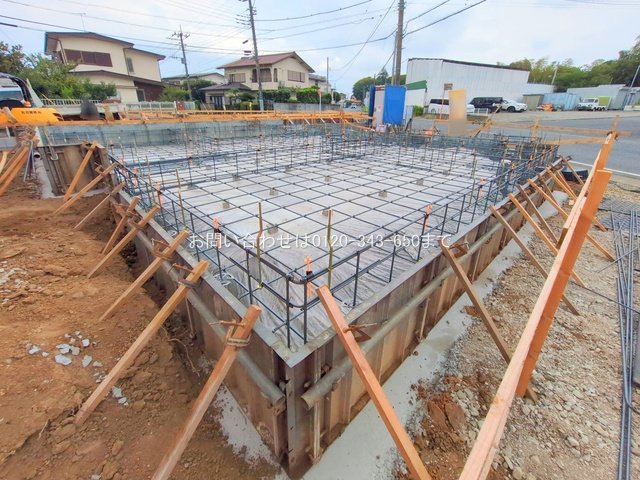 撮影日(2025-08-25 00:00:00)