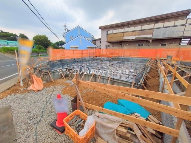 撮影日(2025-08-25 00:00:00)
