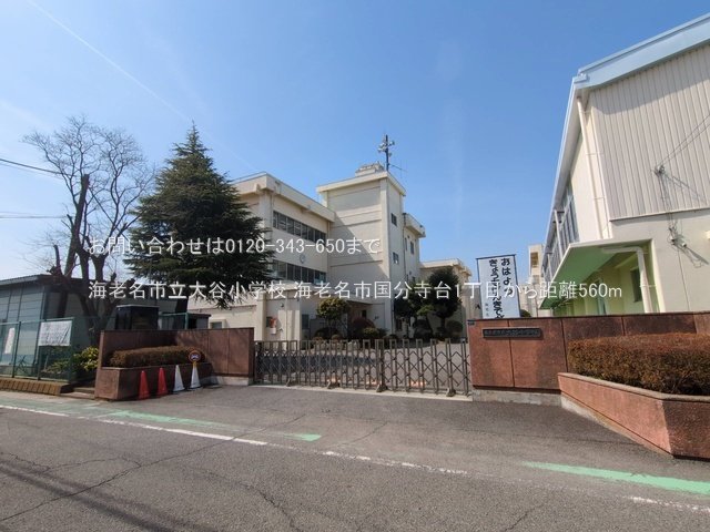 海老名市立大谷小学校 撮影日(2025-03-14) 560m