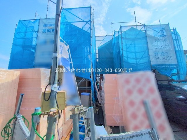 撮影日(2025-08-06 00:00:00)