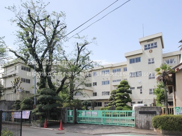 相模原市立大島小学校 撮影日(2024-04-25) 1550m