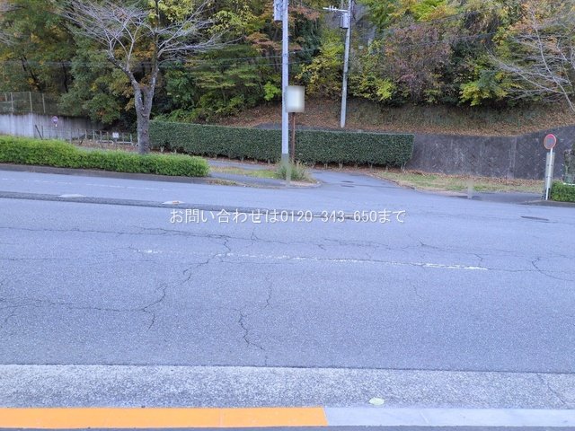撮影日(2024-11-29 00:00:00)