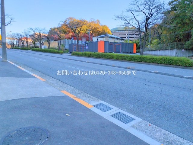 撮影日(2024-11-29 00:00:00)