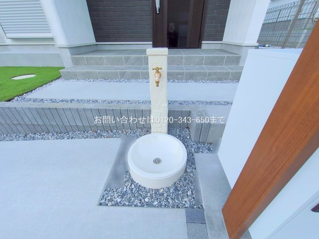 撮影日(2024-11-29 00:00:00)