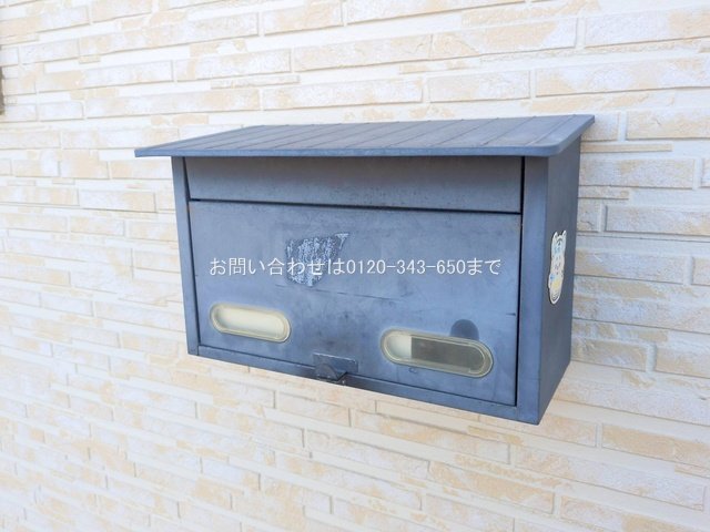 撮影日(2025-02-27 00:00:00)