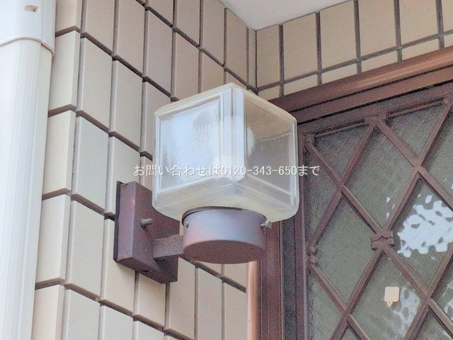 撮影日(2025-03-11 00:00:00)