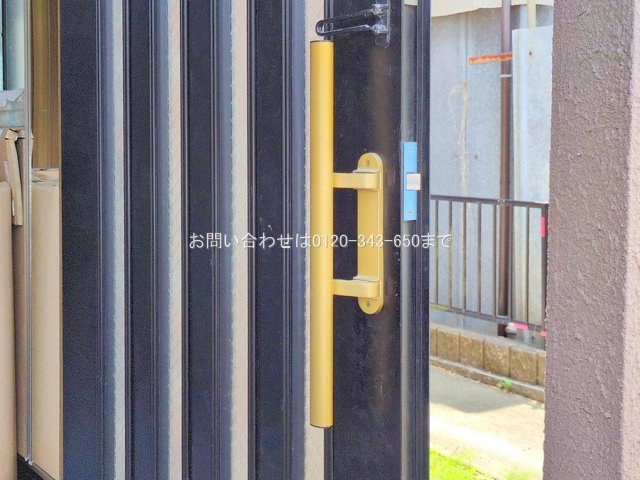 撮影日(2025-06-16 00:00:00)