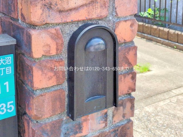 撮影日(2025-06-16 00:00:00)