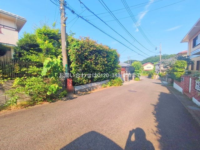 撮影日(2025-06-19 00:00:00)