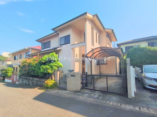 撮影日(2025-06-19 00:00:00)