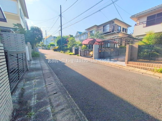 撮影日(2025-06-19 00:00:00)