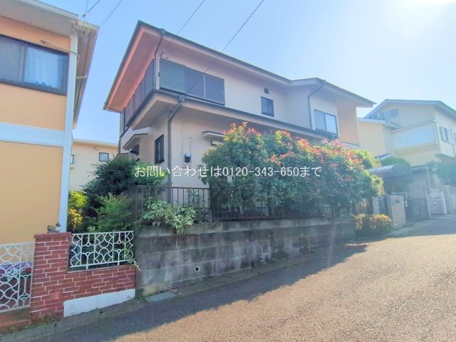 撮影日(2025-06-19 00:00:00)