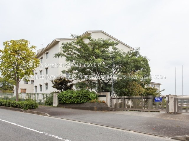 厚木市立森の里小学校 撮影日(2022-09-15) 550m