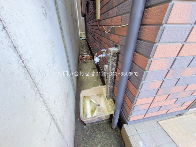 撮影日(2025-06-27 00:00:00)