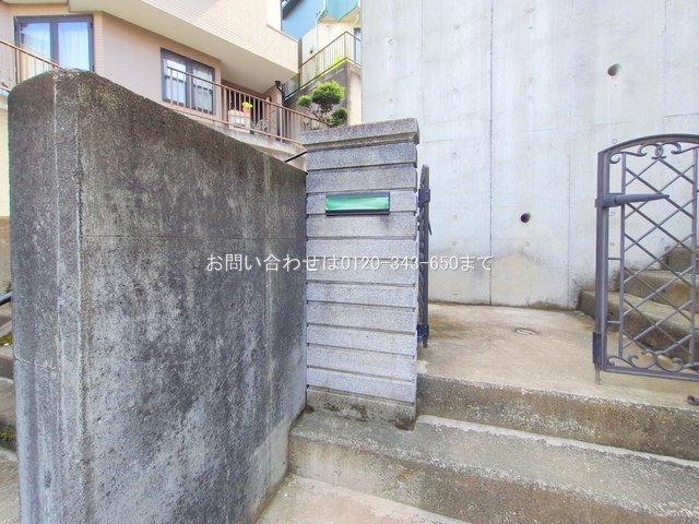 撮影日(2025-06-27 00:00:00)