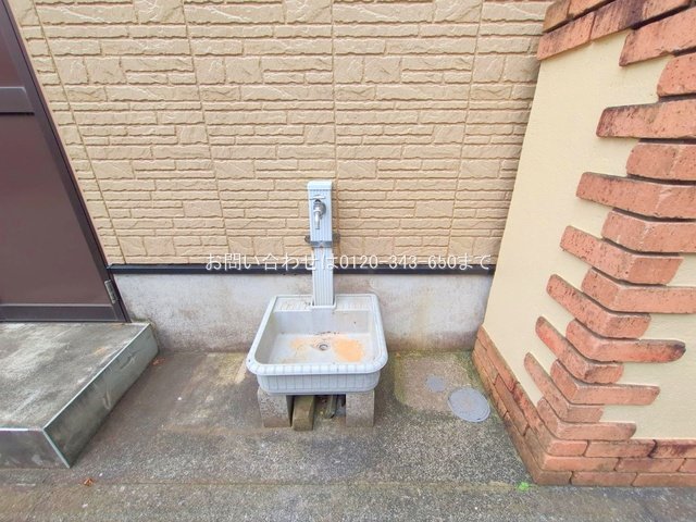 撮影日(2025-07-07 00:00:00)
