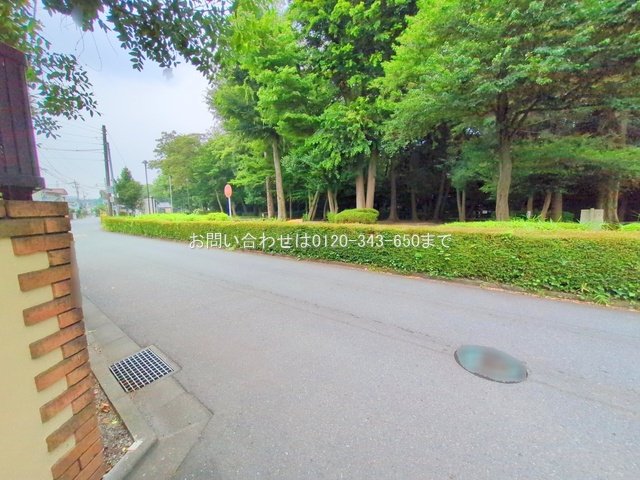 撮影日(2025-07-07 00:00:00)