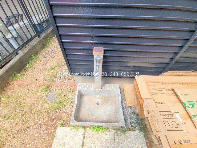 撮影日(2025-08-21 00:00:00)