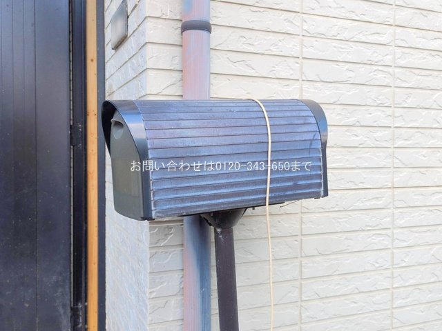 撮影日(2025-07-31 00:00:00)
