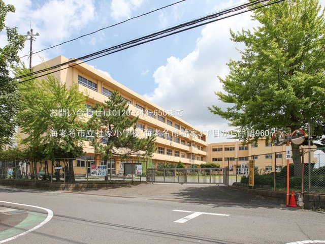 海老名市立社家小学校 撮影日(2024-08-02) 960m