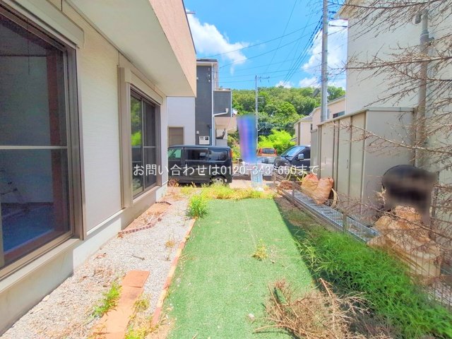 撮影日(2025-07-31 00:00:00)