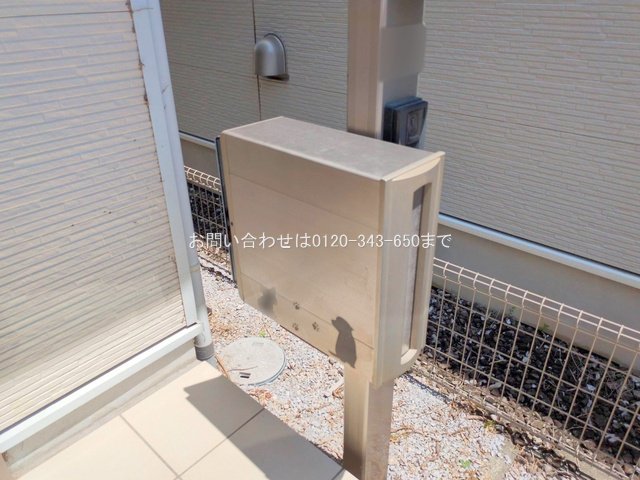撮影日(2025-07-31 00:00:00)