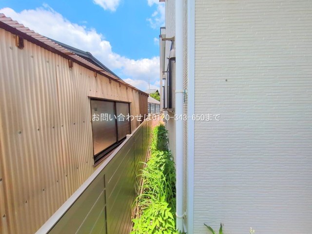 撮影日(2025-07-31 00:00:00)