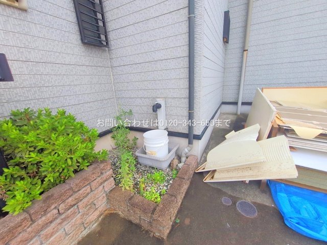 撮影日(2025-08-01 00:00:00)