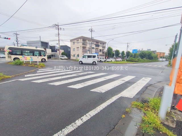 撮影日(2025-08-01 00:00:00)