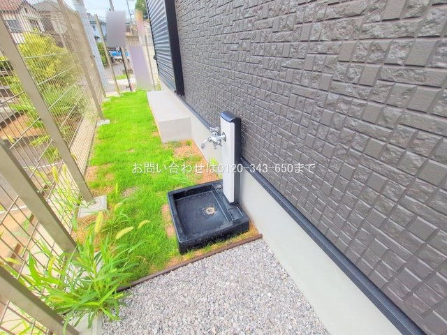 撮影日(2025-08-25 00:00:00)