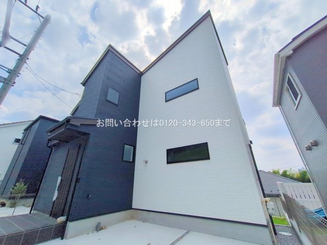 撮影日(2025-08-25 00:00:00)