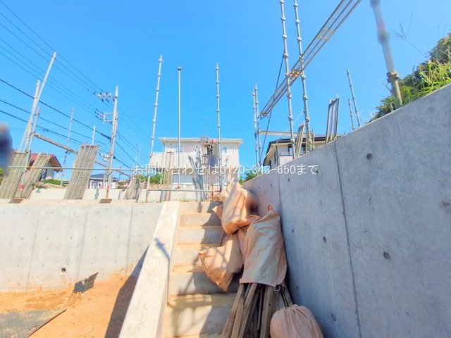 撮影日(2025-08-27 00:00:00)