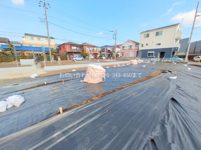 撮影日(2025-02-17 00:00:00)