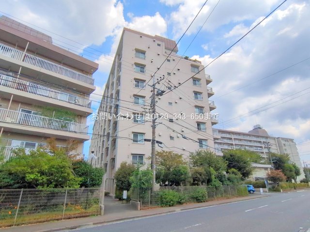 撮影日(2025-09-03 00:00:00)