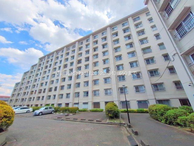 撮影日(2025-09-03 00:00:00)