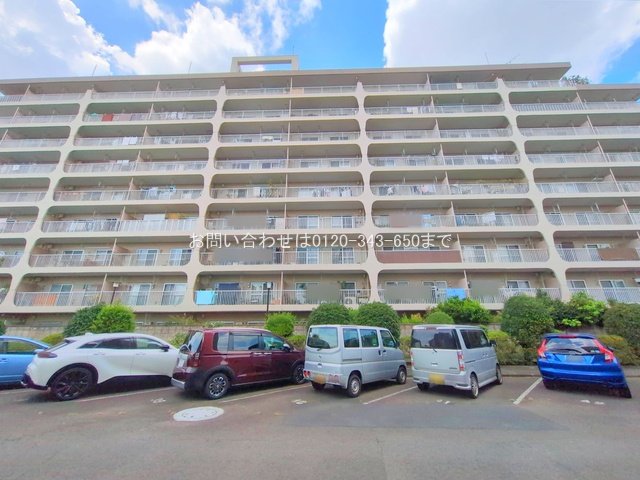 撮影日(2025-09-03 00:00:00)