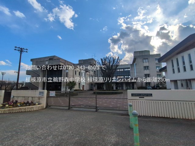 相模原市立鵜野森中学校 撮影日(2025-03-17) 230m