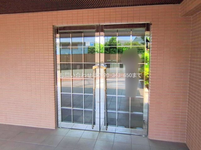 撮影日(2025-08-14 00:00:00)