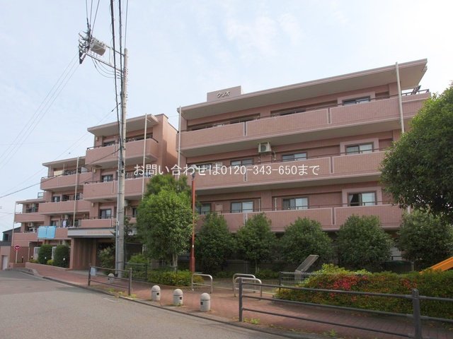 撮影日(2024-06-17 00:00:00)