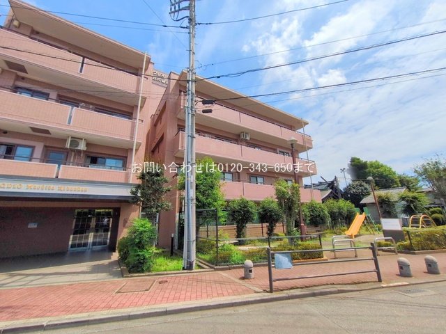 撮影日(2025-08-14 00:00:00)