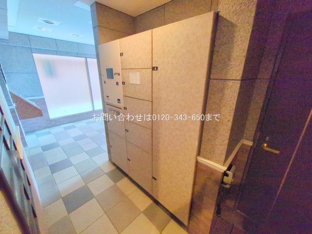 撮影日(2025-08-14 00:00:00)
