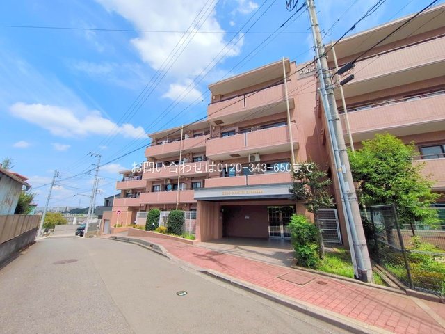 撮影日(2025-08-14 00:00:00)