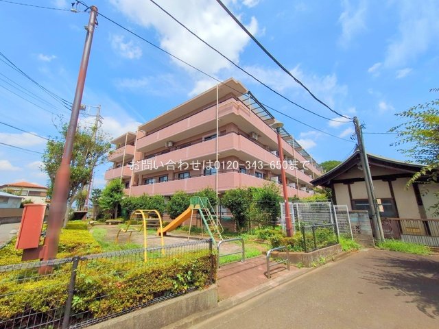 撮影日(2025-08-14 00:00:00)
