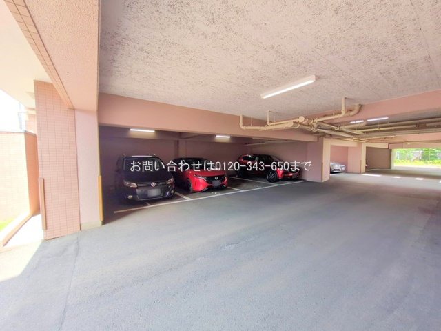 撮影日(2025-08-14 00:00:00)