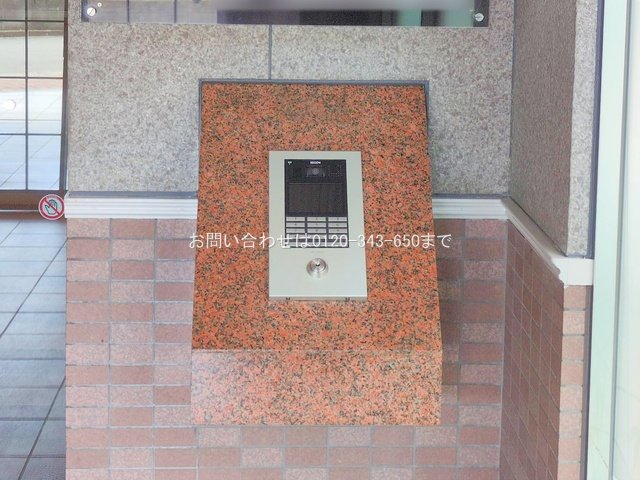 撮影日(2025-08-14 00:00:00)