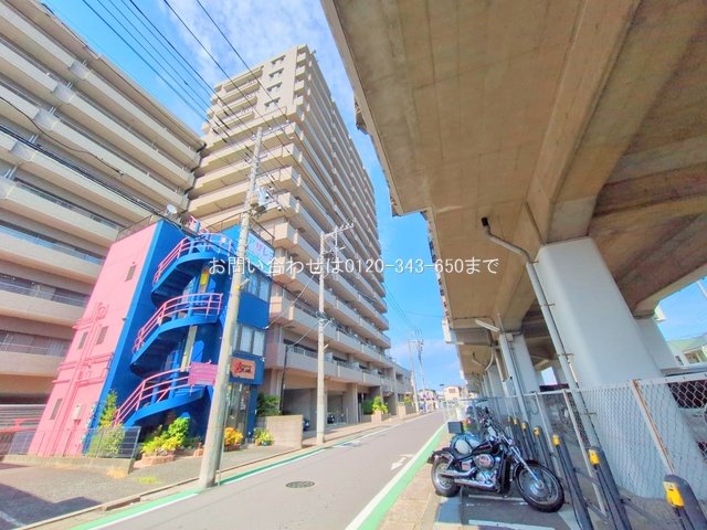 撮影日(2025-08-14 00:00:00)
