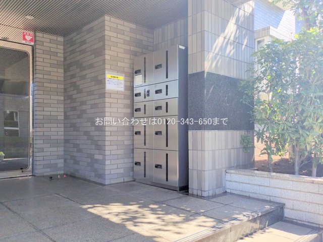 撮影日(2025-09-06 00:00:00)