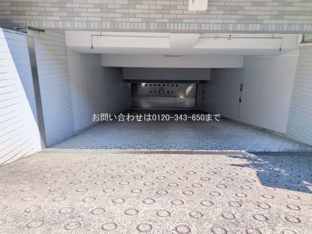 撮影日(2025-09-06 00:00:00)