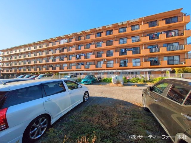 撮影日(2024-11-11 00:00:00)