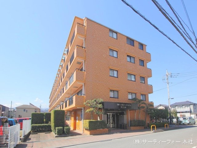 撮影日(2024-03-14 00:00:00)